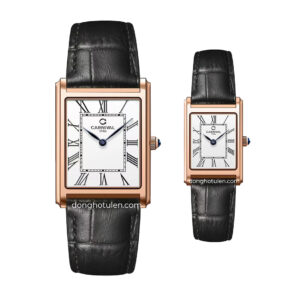 8231L-VH-DD-T & 8231G-VH-DD-T