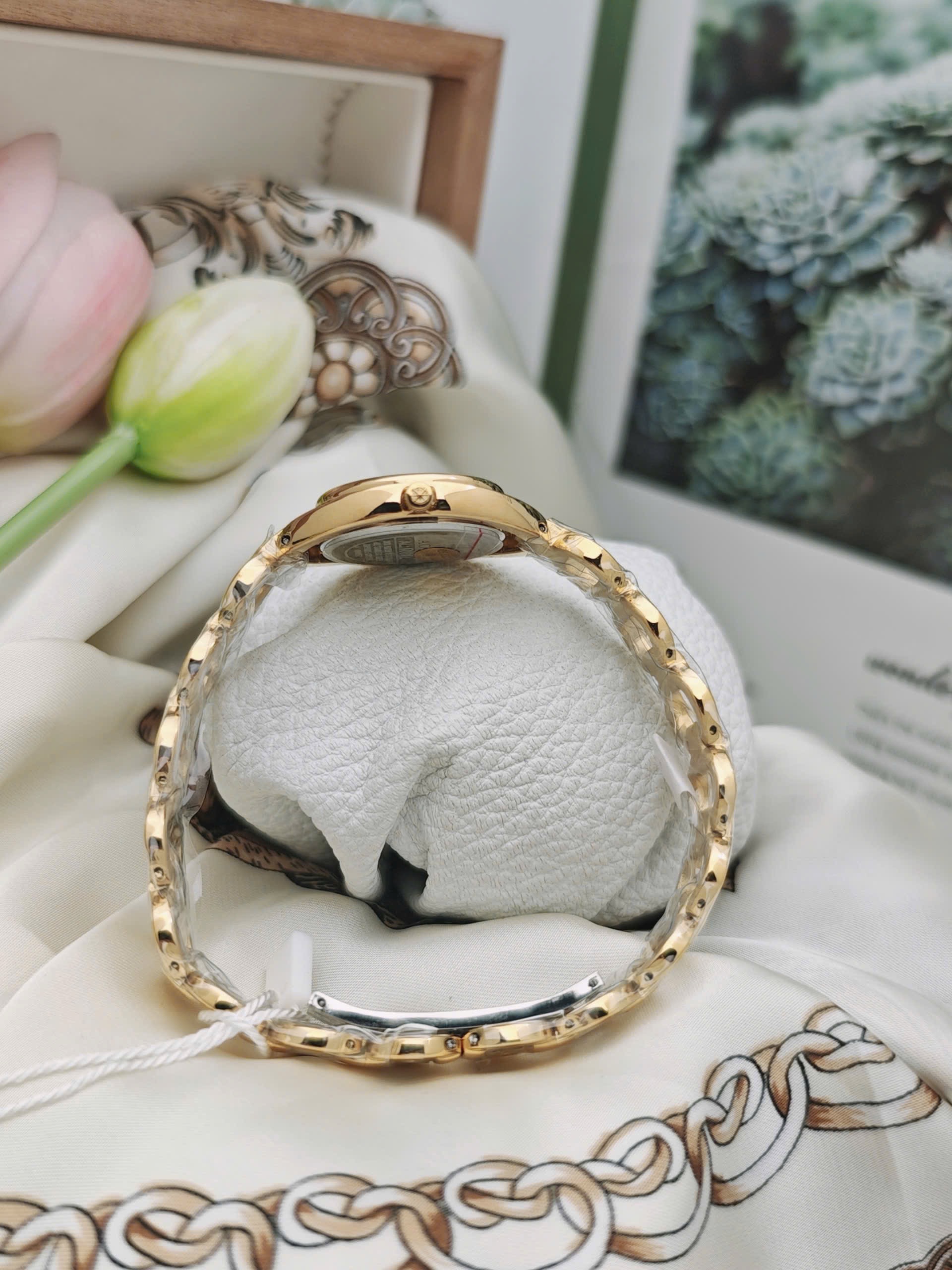 AL1061-GG-SG - Đồng Hồ Nữ Dây Thép Aolix Sapphire - Ảnh 2