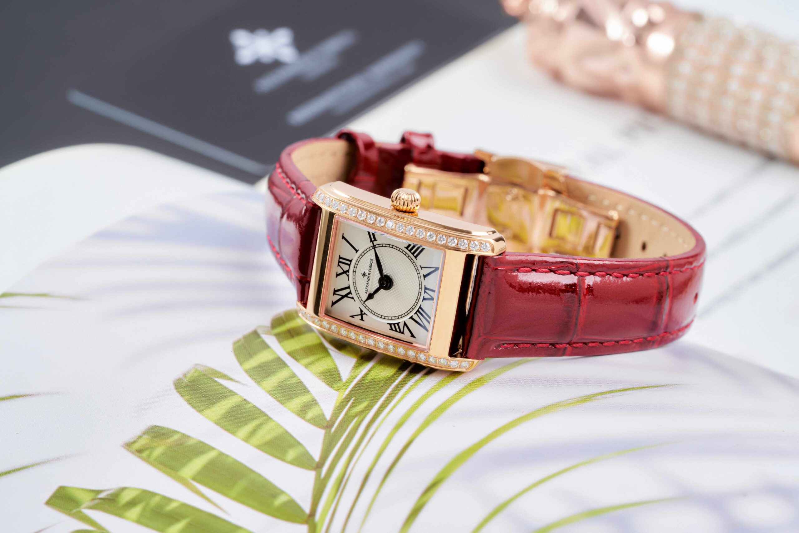 Đồng hồ nữ Alexander Ferros - 7218R-02 - Ảnh 3