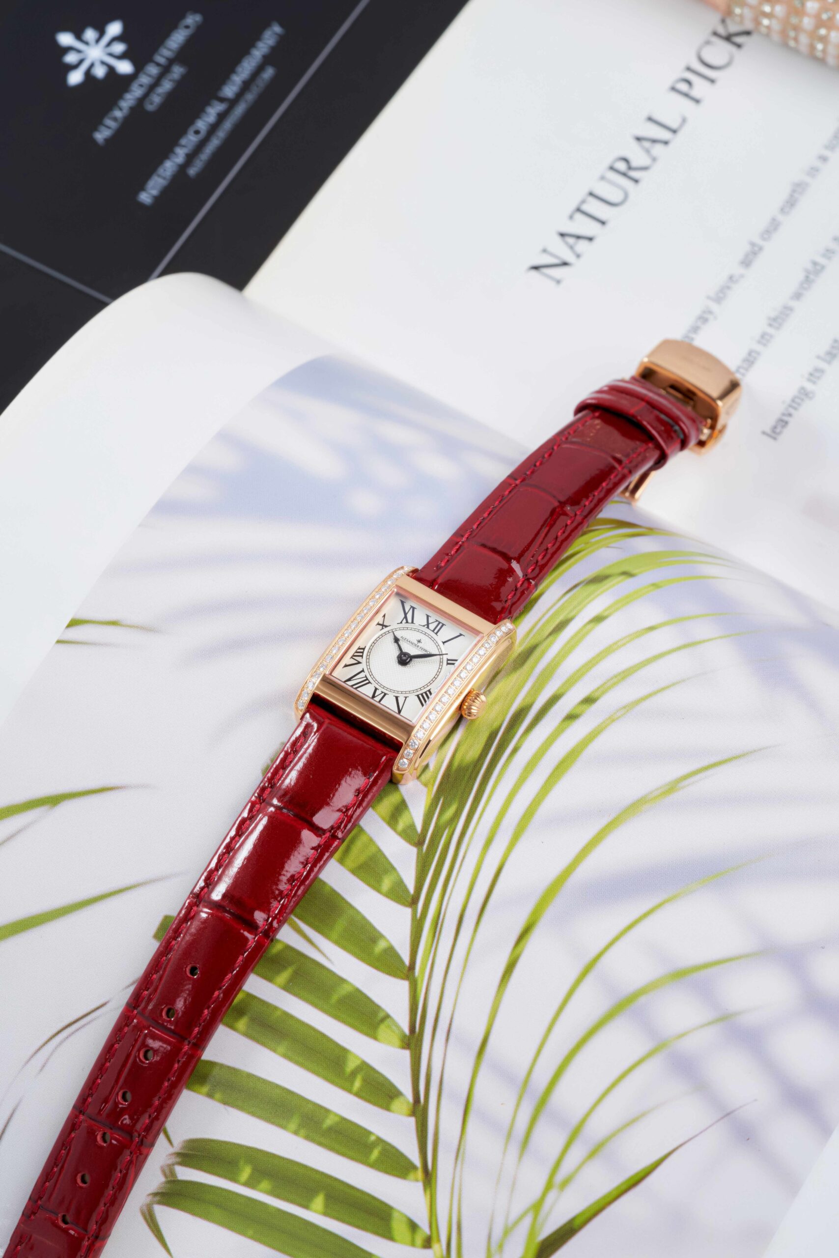 Đồng hồ nữ Alexander Ferros - 7218R-02 - Ảnh 2