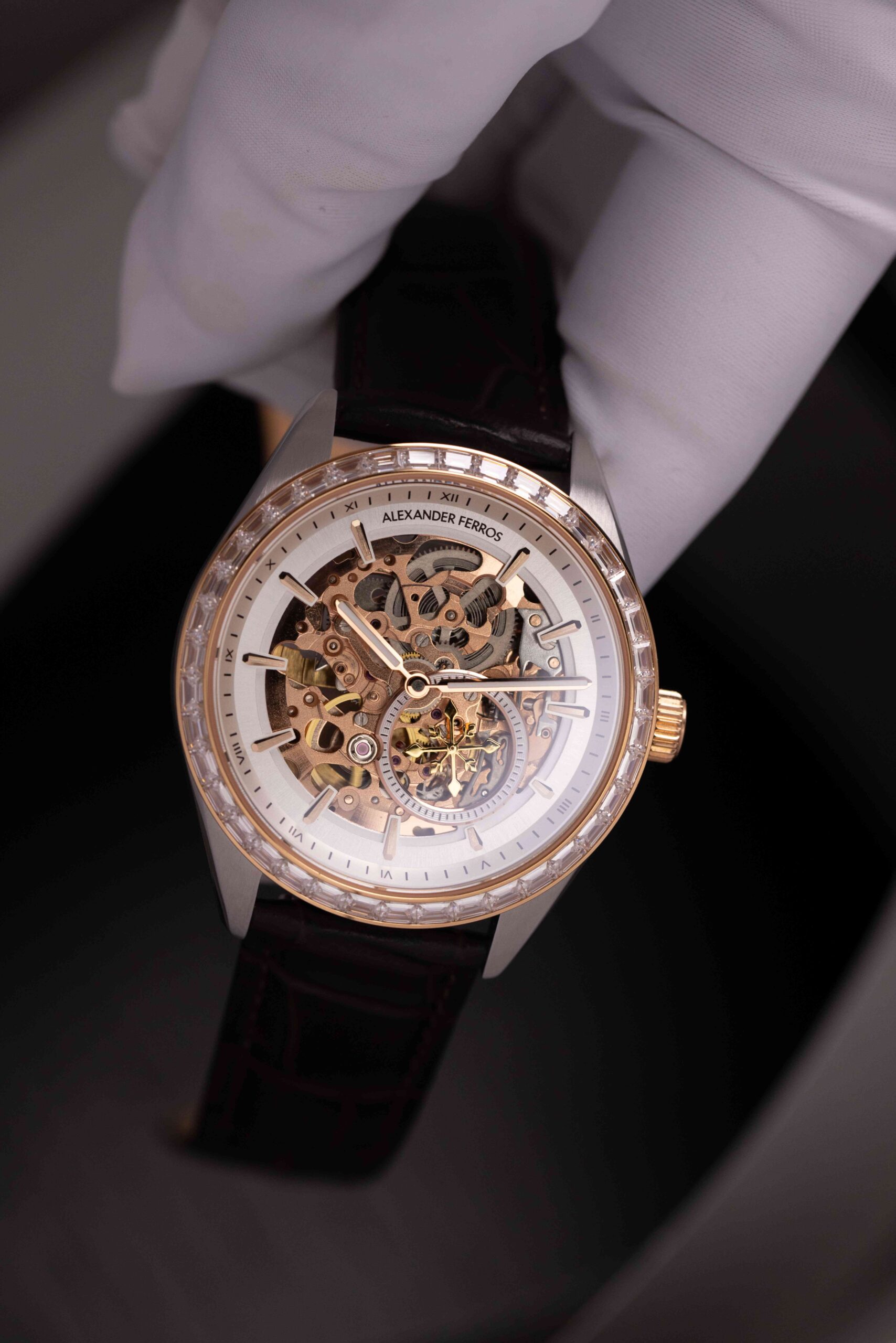 Đồng hồ nam Alexander Ferros - 9261D-02 - Ảnh 8