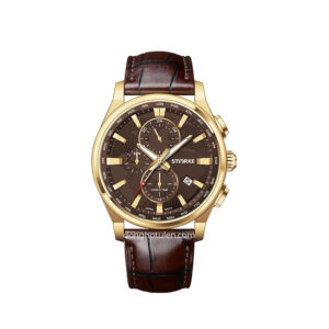Đồng Hồ Nam STARKE SK209PM.GYN